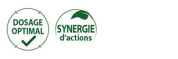 SYNERGIE