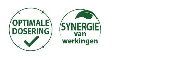 SYNERGIE